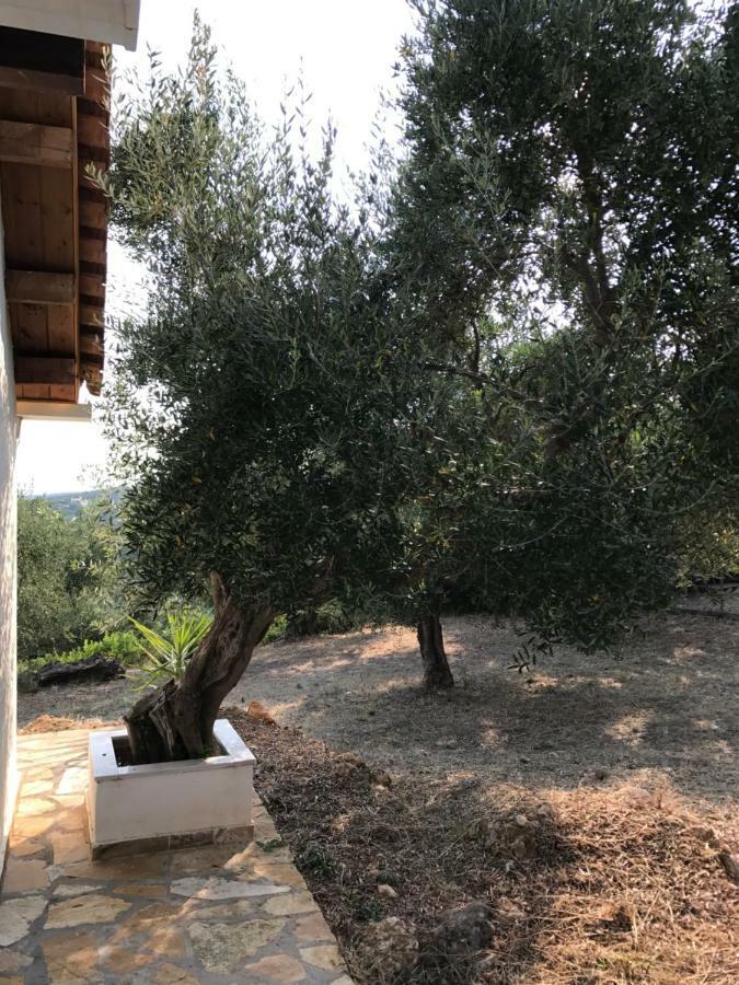 Ferienhaus Olive Garden Kyparissia Eksteriør billede