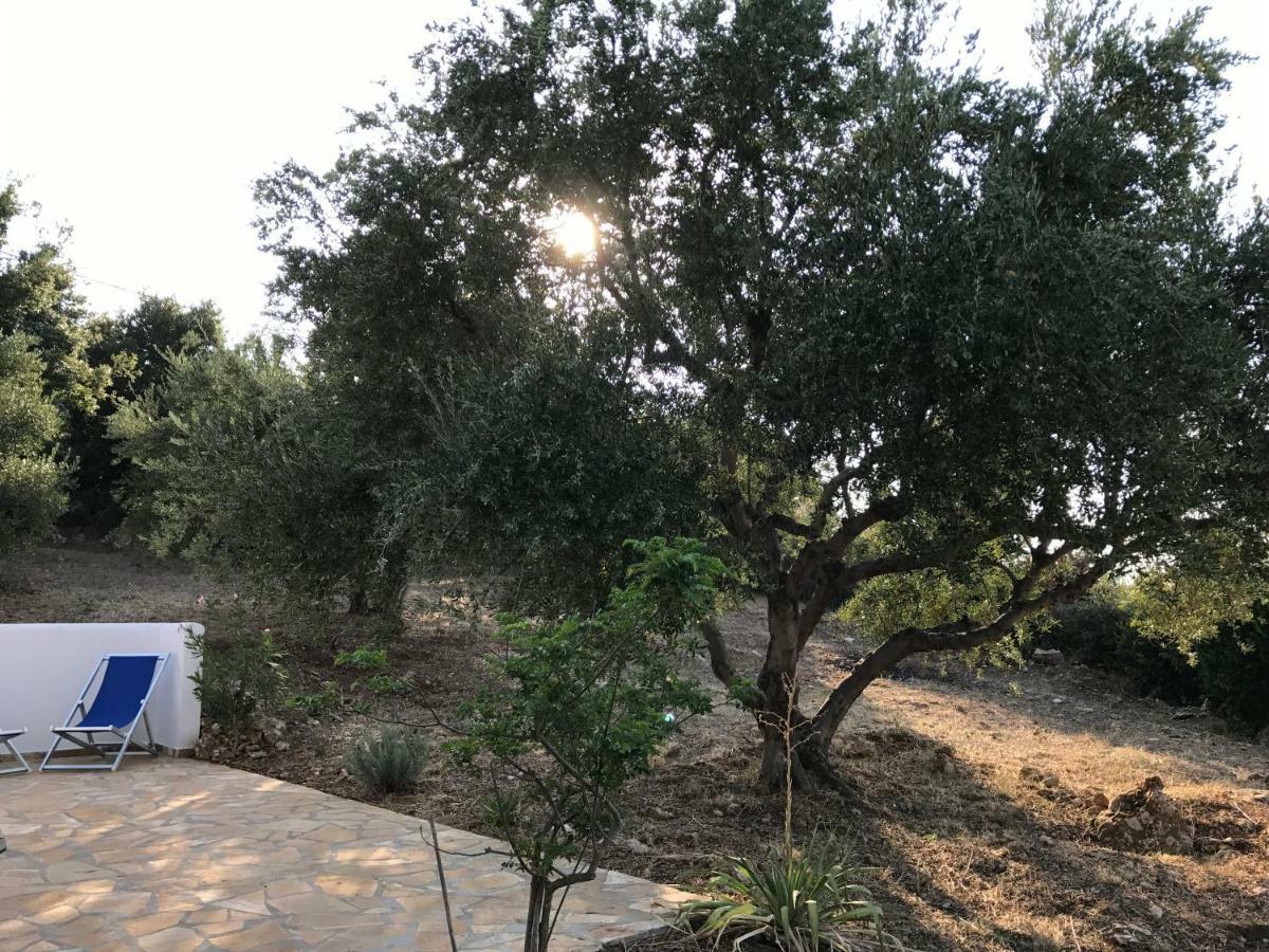 Ferienhaus Olive Garden Kyparissia Eksteriør billede